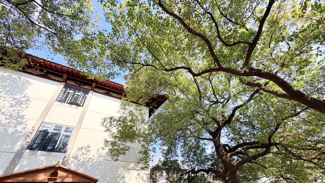 98334238c9666b219817246b00b690c5.jpg 98334238c9666b219817246b00b690c5.jpg